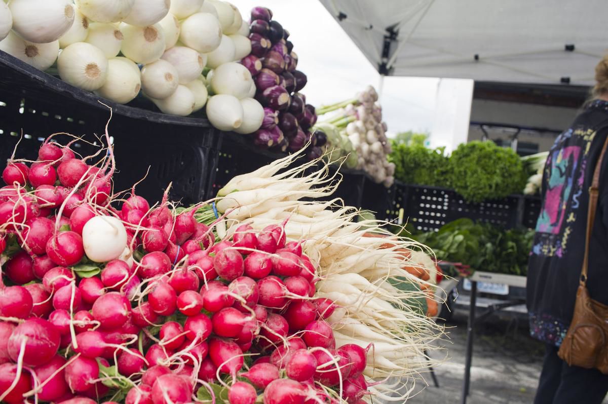 Radishes Onions.jpg